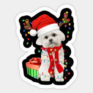 Funny Dog Maltese Wearing Santa Hat Christmas Lights Gift For Dog Lover Sticker